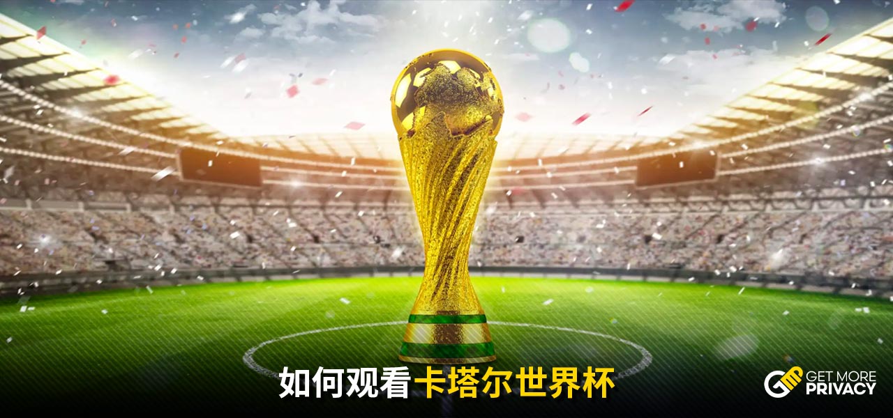 赖斯的选择
